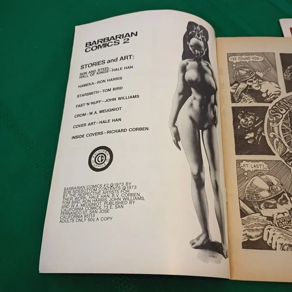 Barbarian Comics Lot of 2 (#2 & #3) Hale Han 1973-1974 California Comics